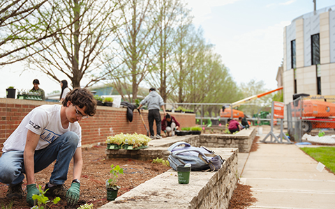 landscaping_news
