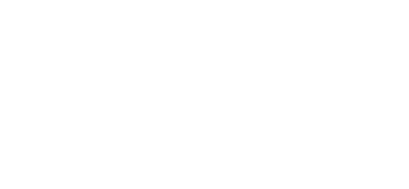 UIS Wordmark