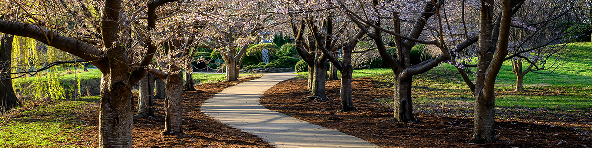 Meadow Brook Park Walking Path
