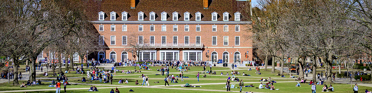 University of Illinois Quad with Students Sitting and Walking