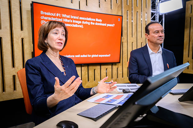 Gies Faculty Teaching Online